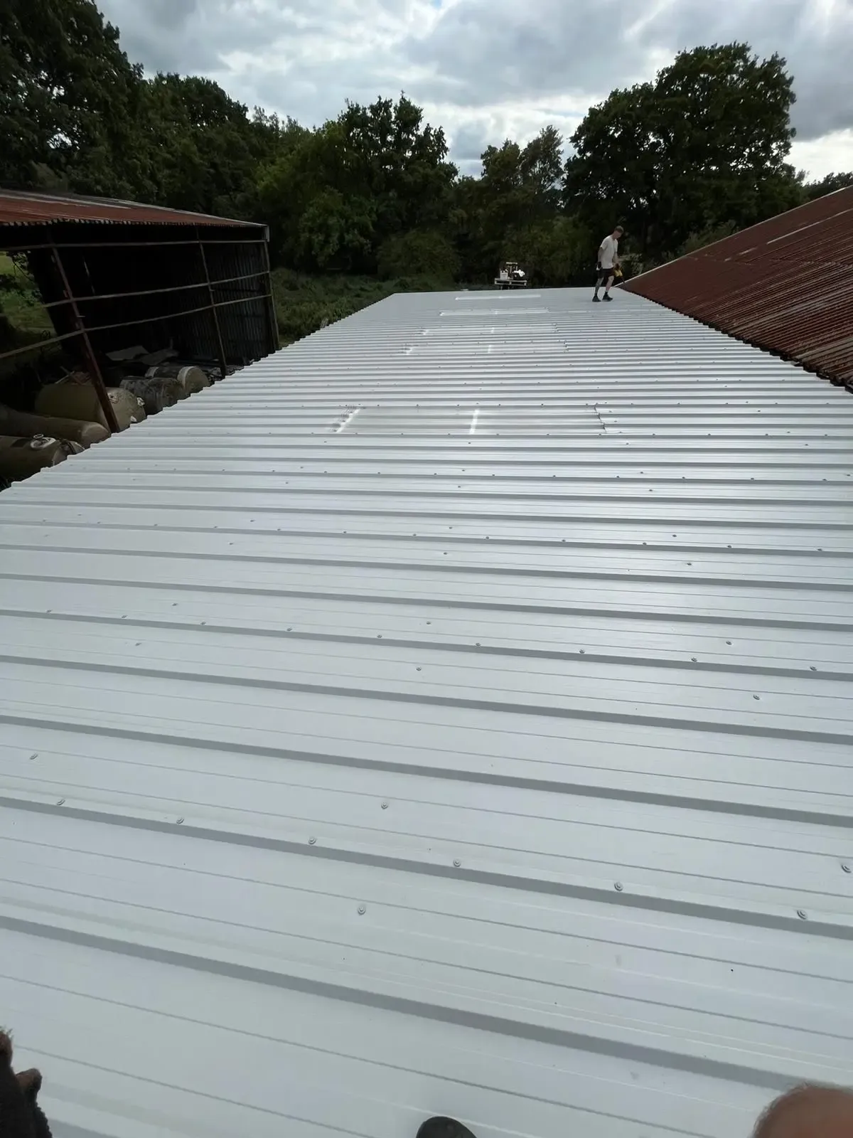 Newly installed corrugated steel roofing and weather-resistant cladding on an agricultural farm shed, demonstrating professional installation by ER3 Group LTD.